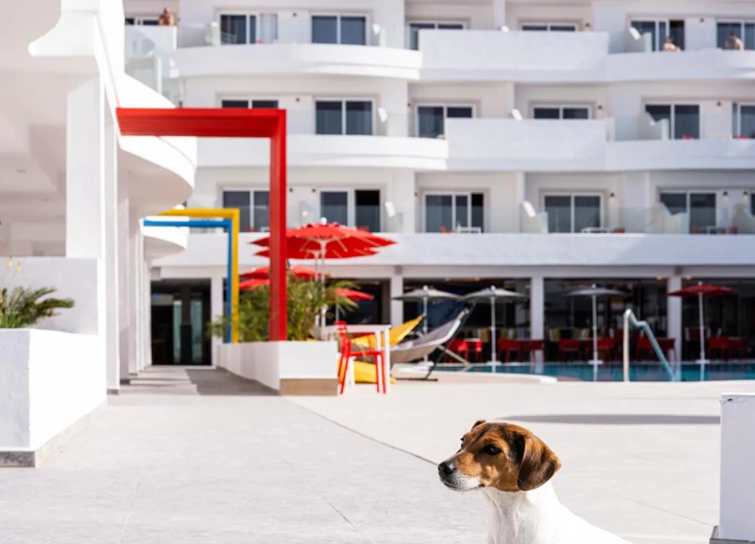 Hotel Sholeo Lodges Los Gigantes (Adults Only) Puerto de Santiago